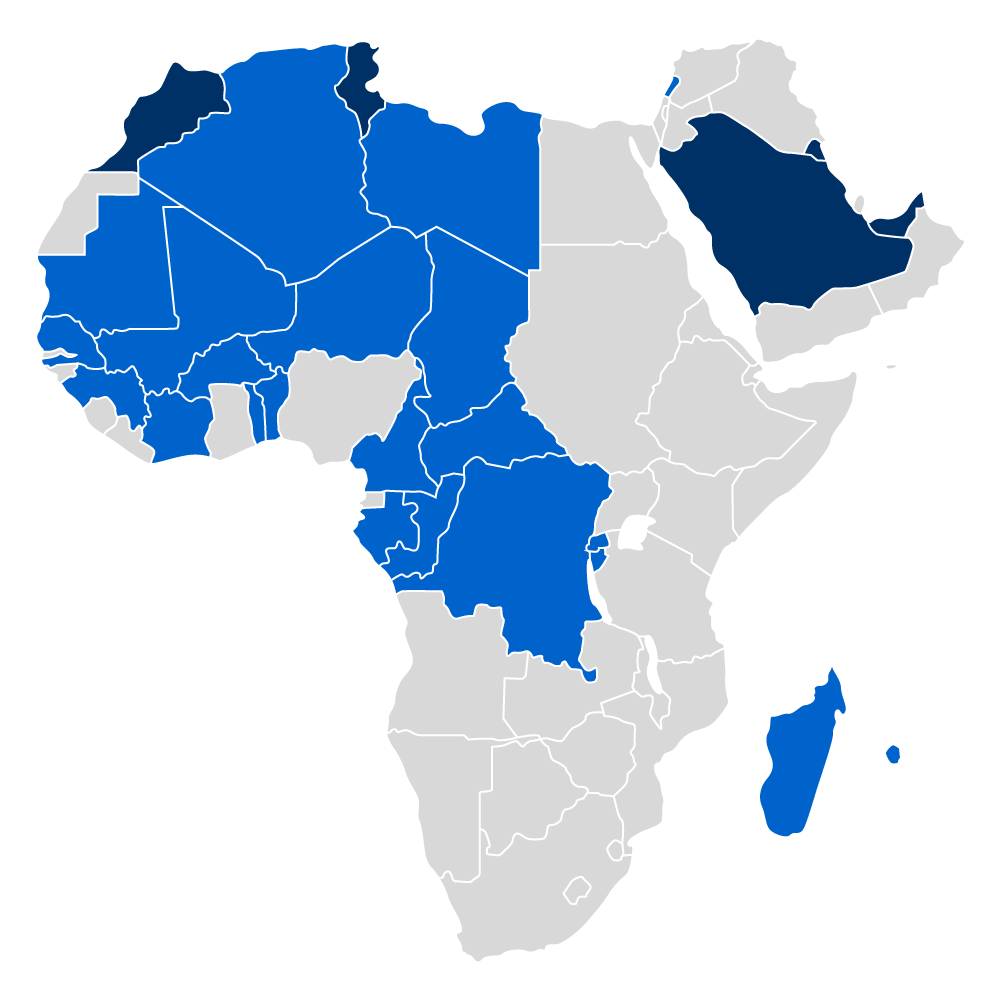 Théa Africa and Middle East