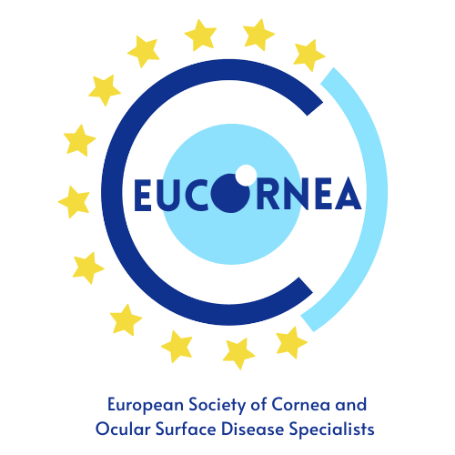 Participants attending EuCornea Congress 2027 in Budapest, discussing cornea and ocular surface disease research in ophthalmology.