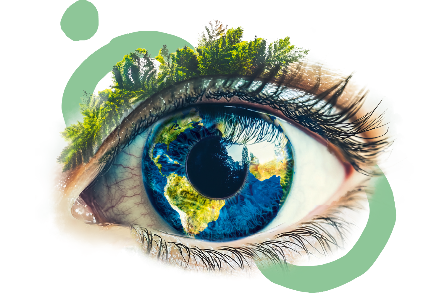 Carbon Neutrality as Part of Our Broader CSR Commitment